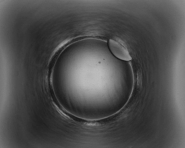 X0000085751452200703231121