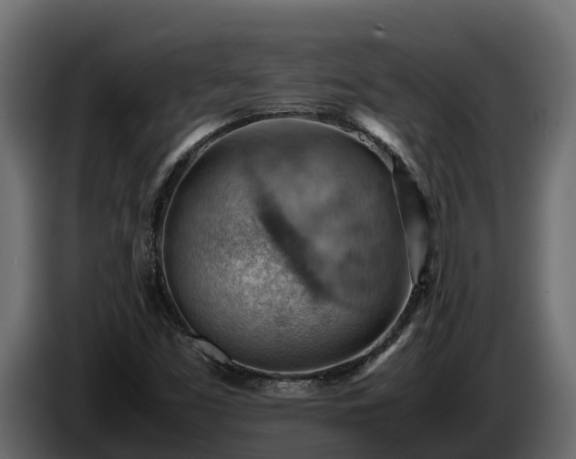 X0000085751453200703231121