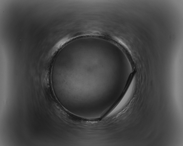 X0000085751455200703231121