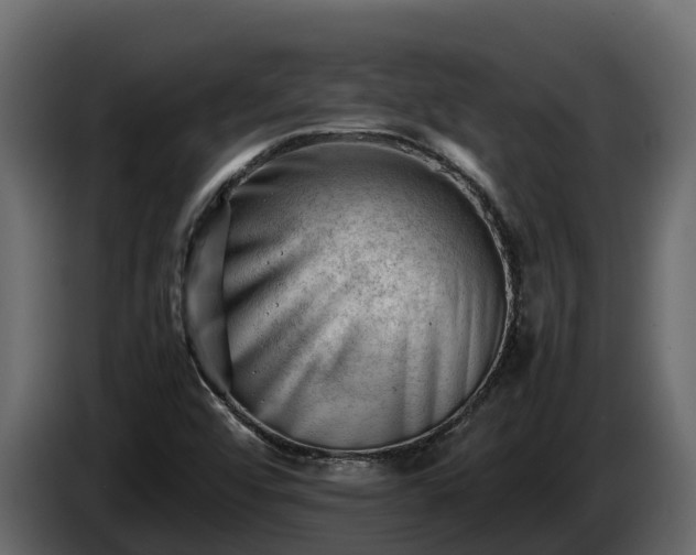 X0000085751456200703231121