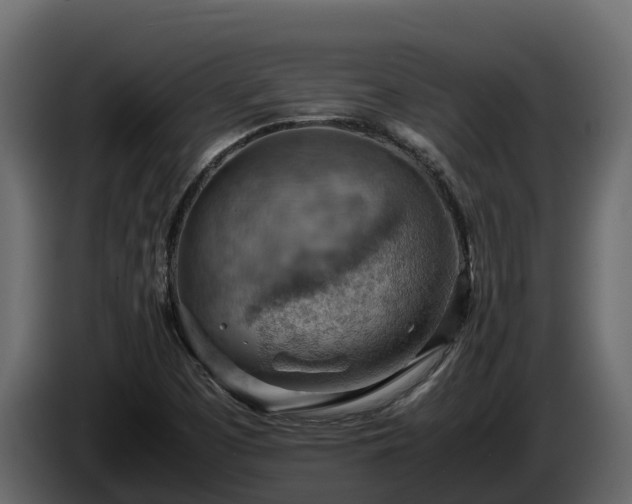 X0000085751457200703231121