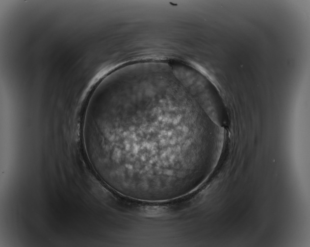 X0000085751459200703231121