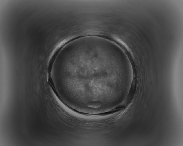 X0000085751461200703231121