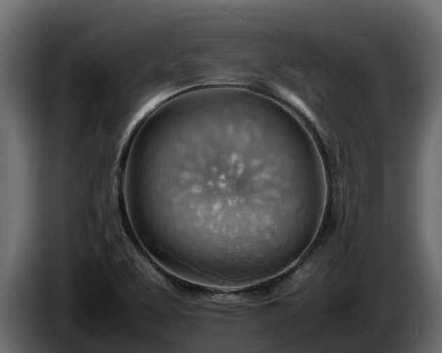X0000085751463200703231121
