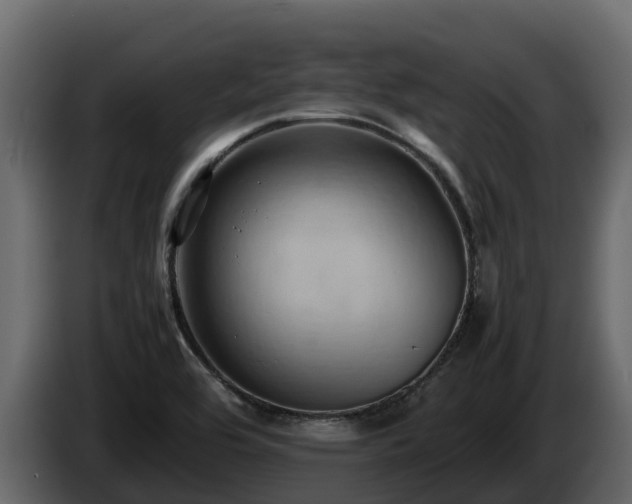 X0000085751464200703231121
