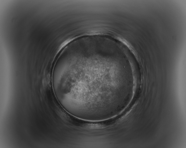 X0000085751465200703231121