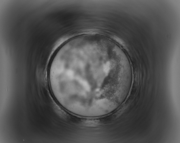 X0000085751466200703231121