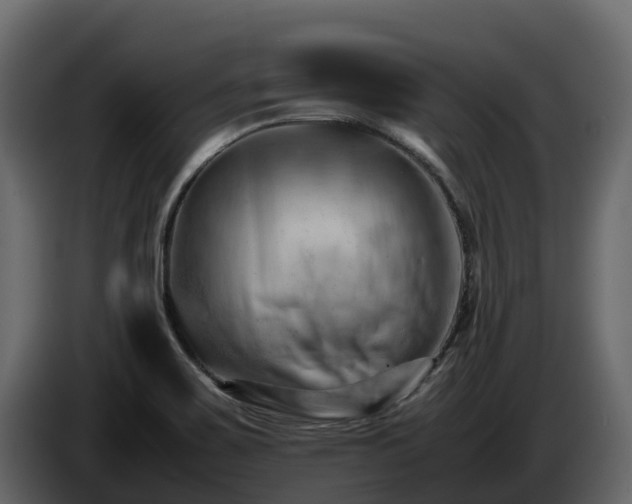 X0000085751467200703231121