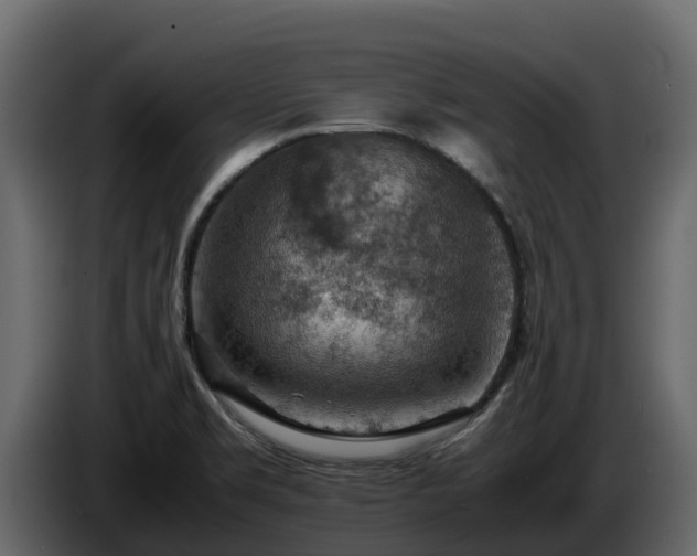 X0000085751469200703231121