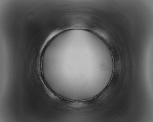 X0000085751470200703231121