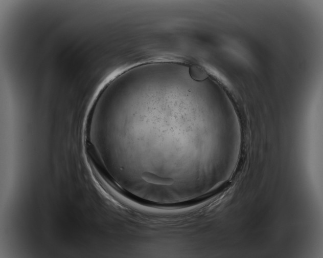 X0000085751471200703231121