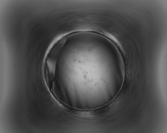 X0000085751472200703231121