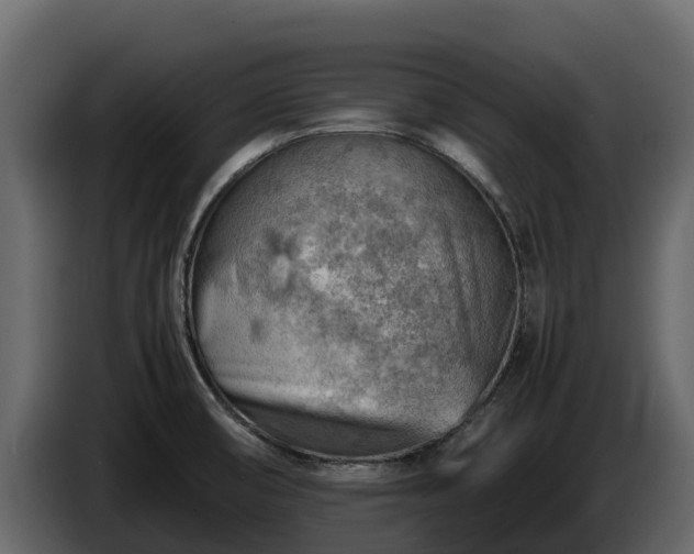 X0000085751474200703231121