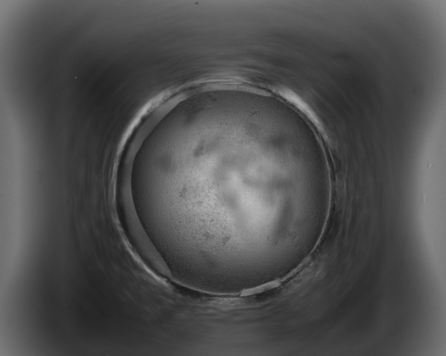 X0000085751477200703231121