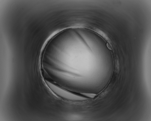 X0000085751480200703231121