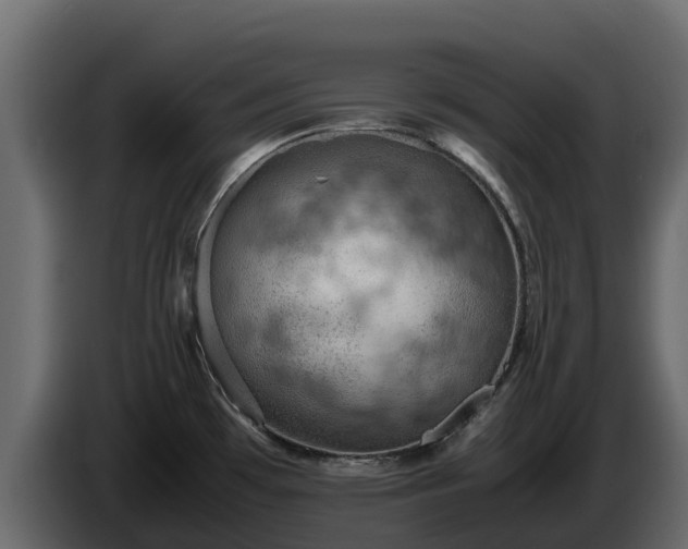 X0000085751481200703231121