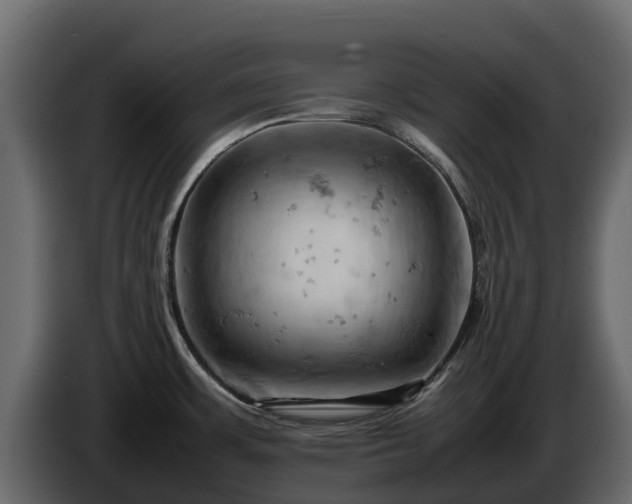 X0000085751483200703231121