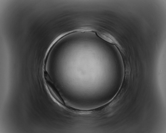 X0000085751484200703231121