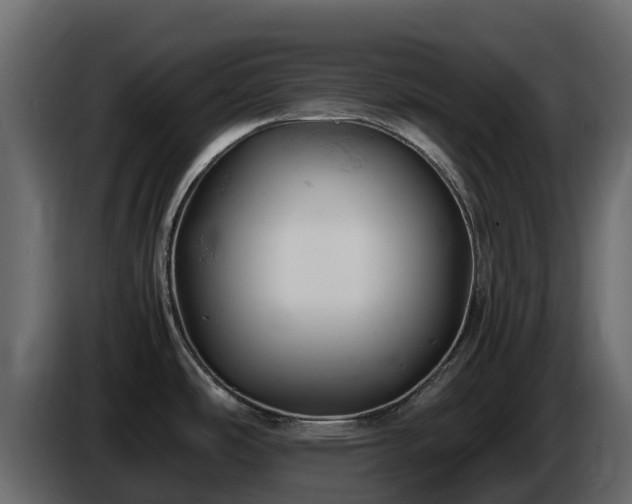 X0000085751486200703231121
