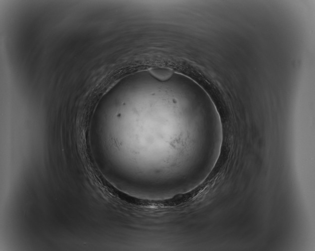X0000085751489200703231120