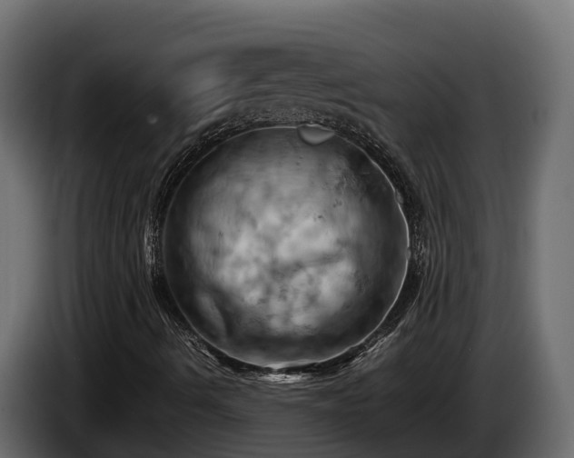 X0000085751490200703231120