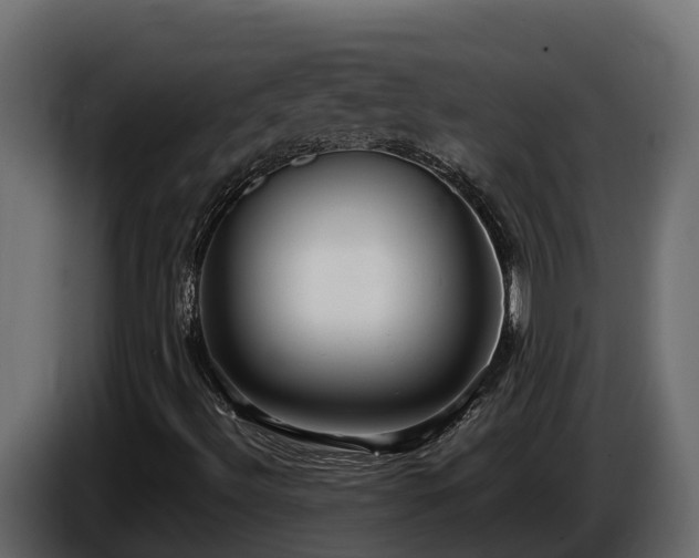 X0000085751492200703231120