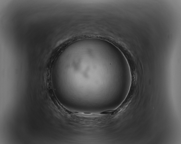 X0000085751494200703231120