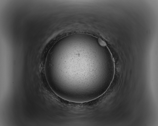 X0000085751495200703231120
