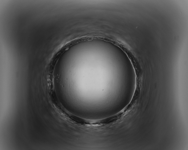 X0000085751496200703231120