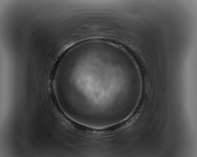 X0000085751497200703231120