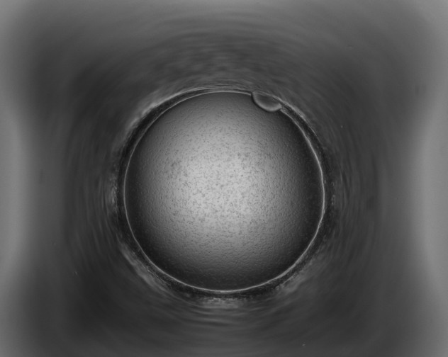 X0000085751499200703231120