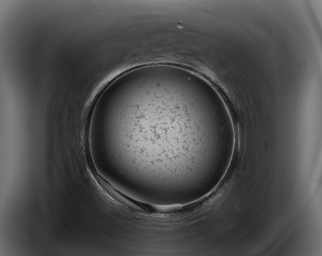 X0000085751500200703231120