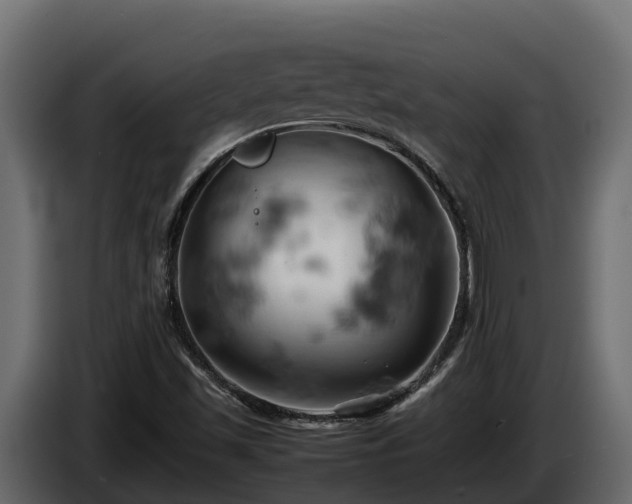 X0000085751501200703231120