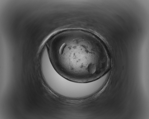 X0000085751502200703231120