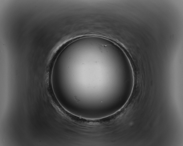 X0000085751503200703231120