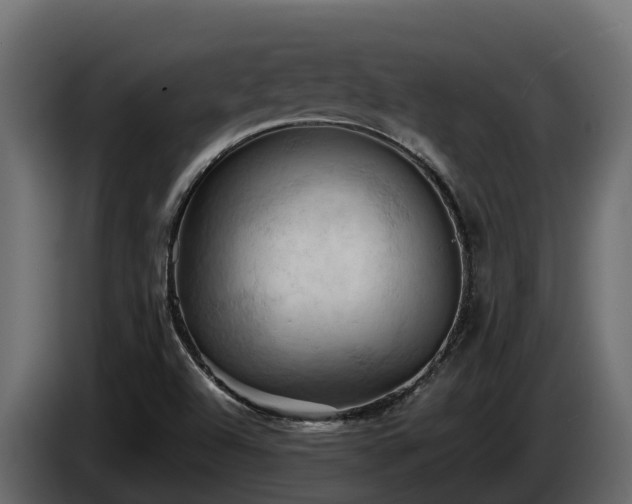 X0000085751504200703231120