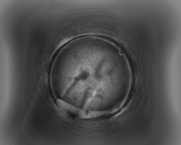 X0000085751505200703231120