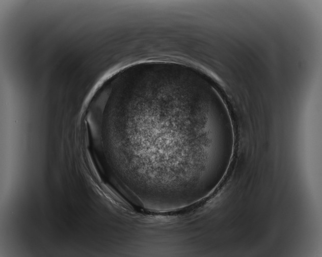 X0000085751506200703231120