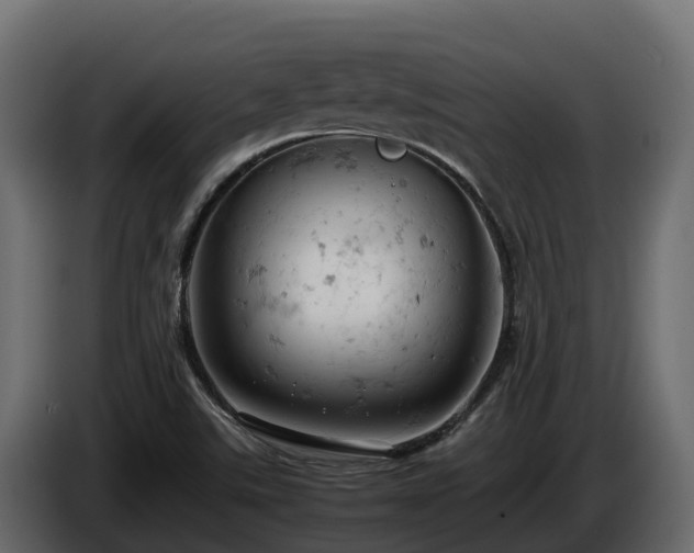 X0000085751507200703231120