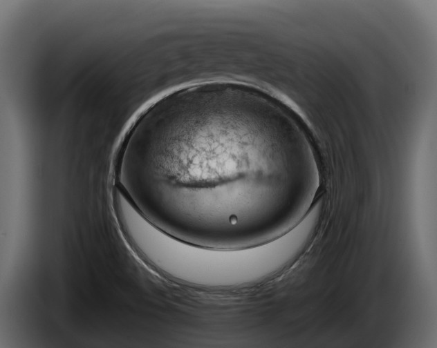 X0000085751508200703231120