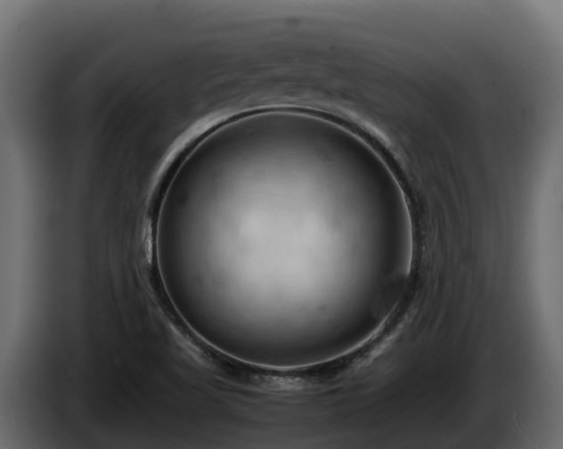 X0000085751509200703231120