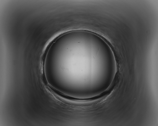 X0000085751510200703231120