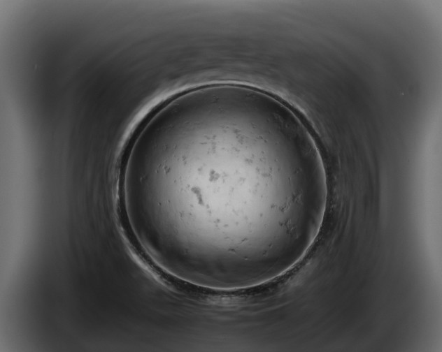 X0000085751511200703231120