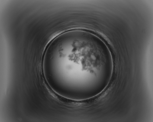 X0000085751513200703231121