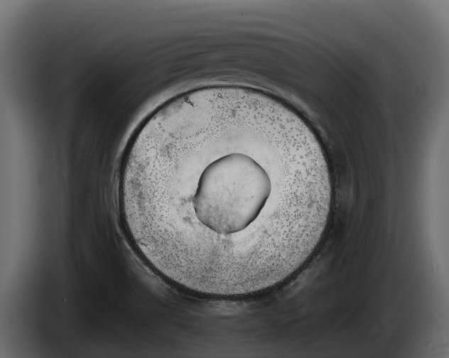 X0000085751514200703231121