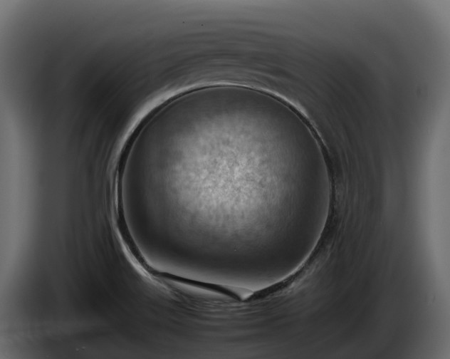 X0000085751515200703231121