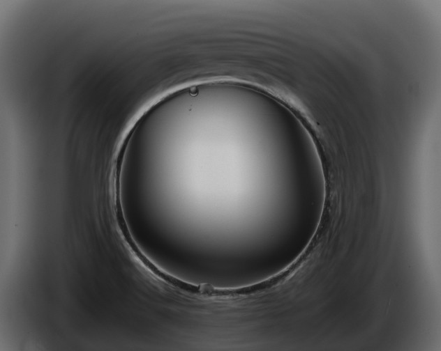 X0000085751516200703231121