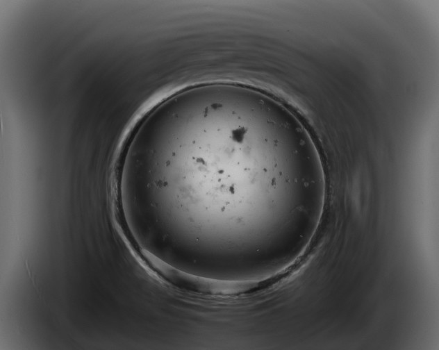 X0000085751517200703231121