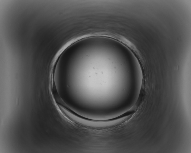 X0000085751520200703231121