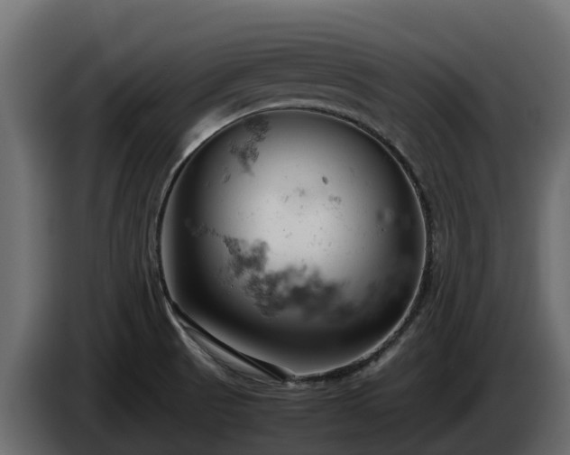 X0000085751521200703231121